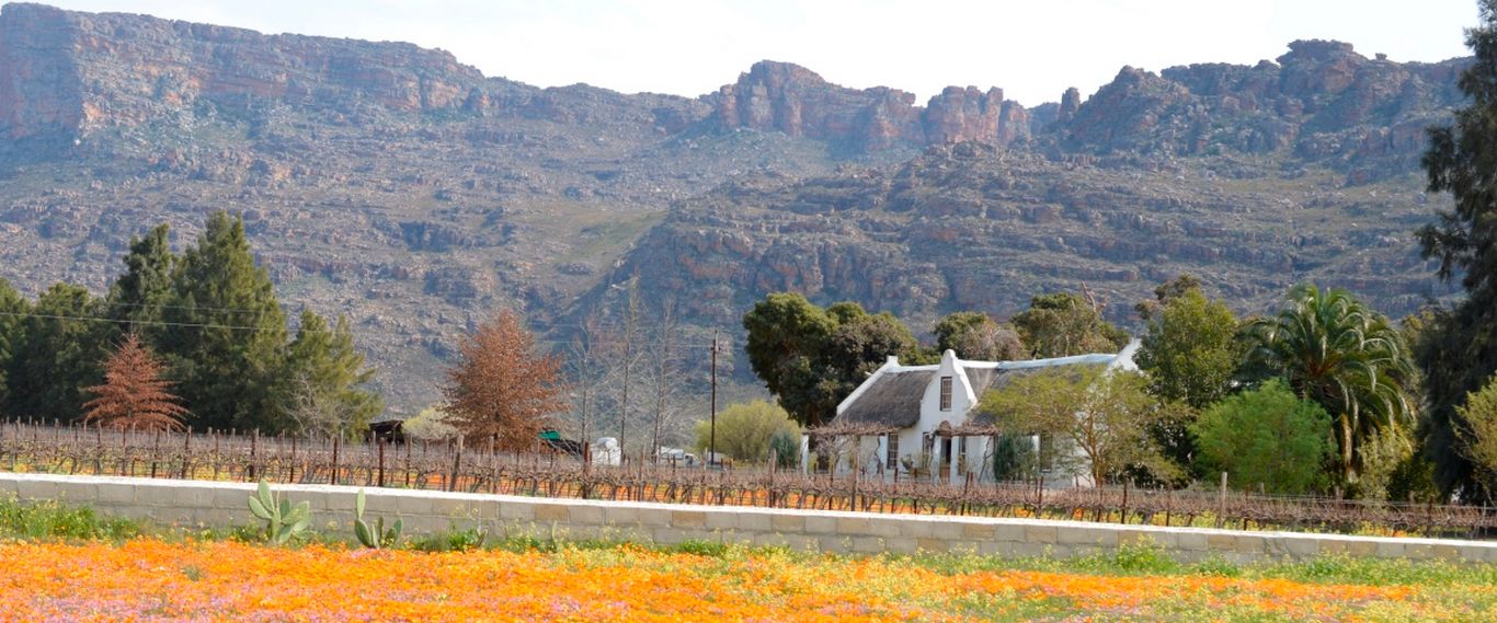 Cederberg, Rocklands