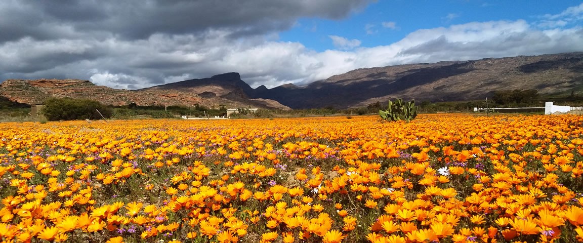 Cederberg, Rocklands