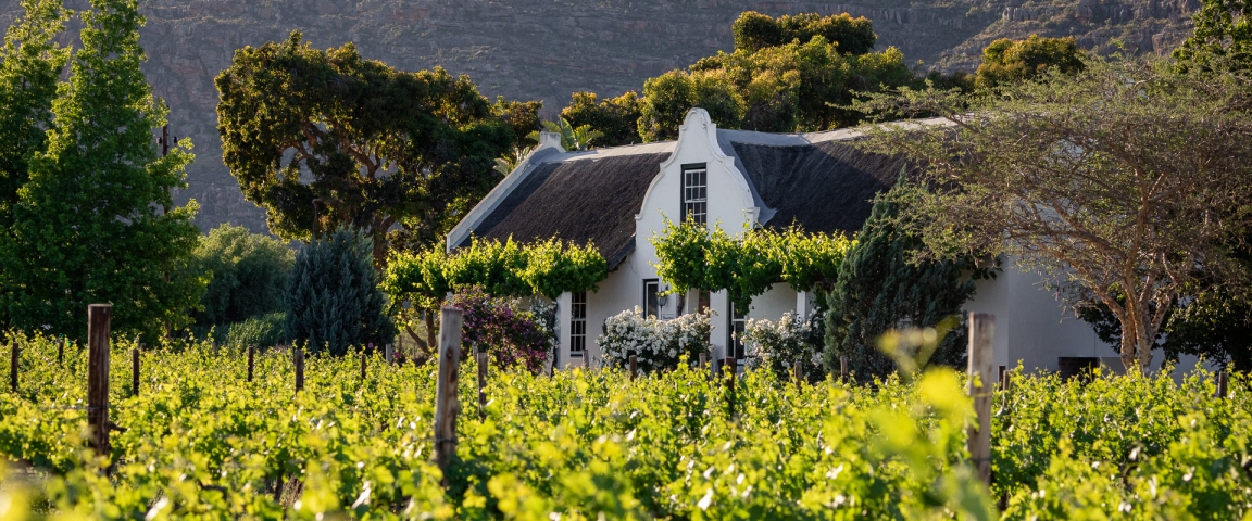 Cederberg, Rocklands